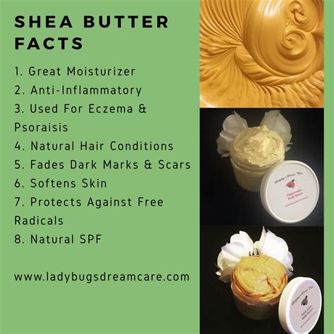 The Science Behind Navy Spell Shea Butter's Nourishing Properties